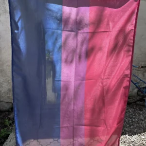 Steag bisexual